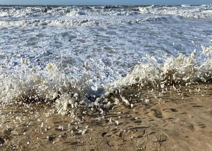 In Near The דירה *